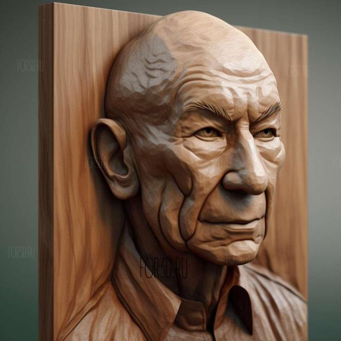 luc picard 4 stl model for CNC